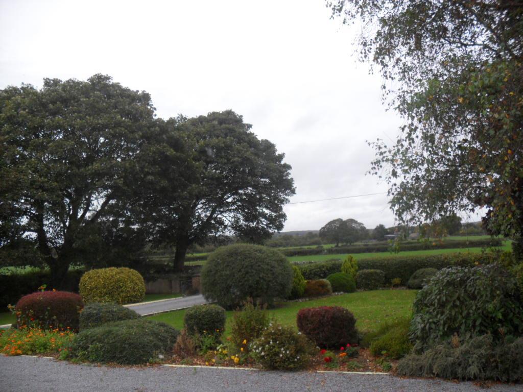 Hillcrest Country Home Adare Exteriör bild