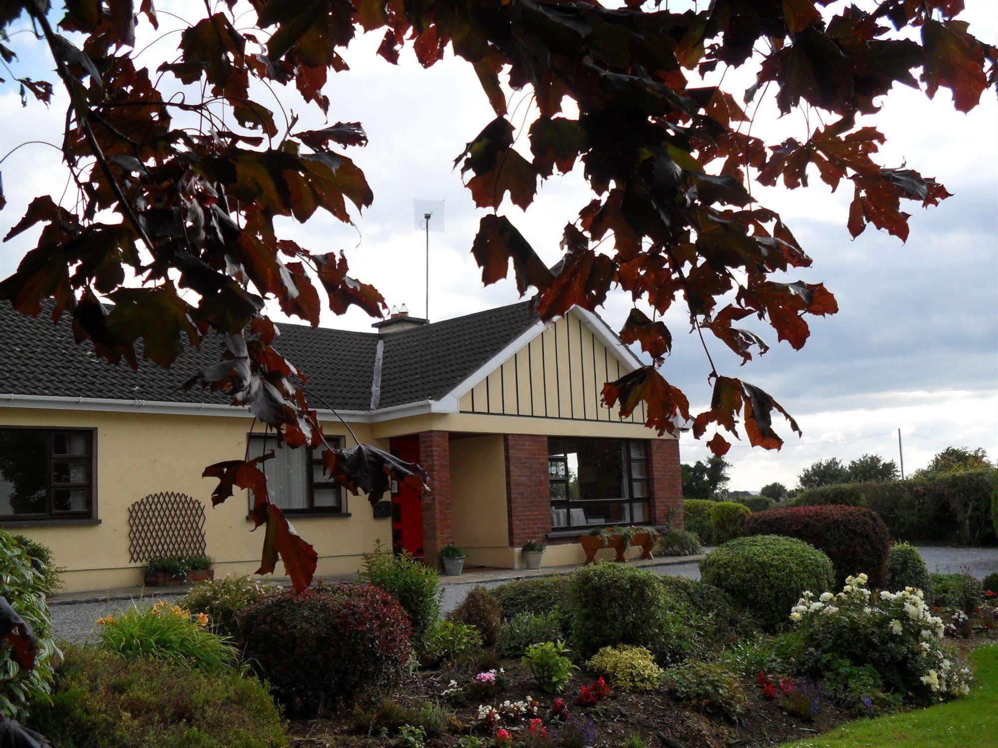 Hillcrest Country Home Adare Exteriör bild